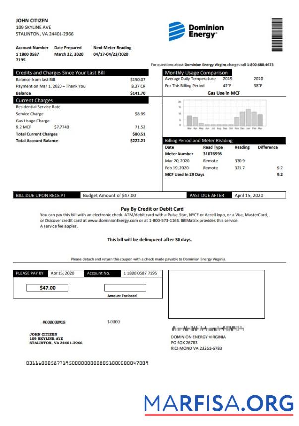 Printable USA Dominion Energy utility bill template in Word and PDF format
